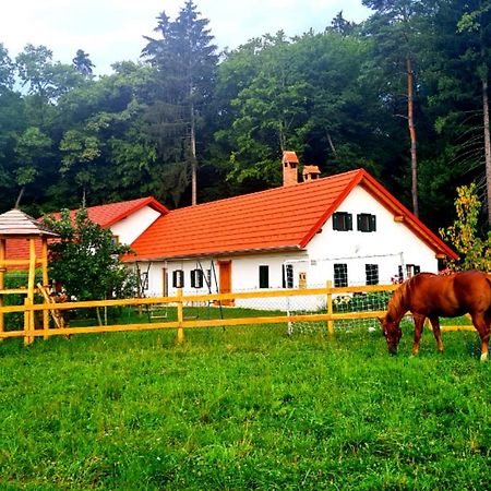 Turisticna Kmetija Hisa Ob Gozdu Pri Ptuju Villa Exterior foto