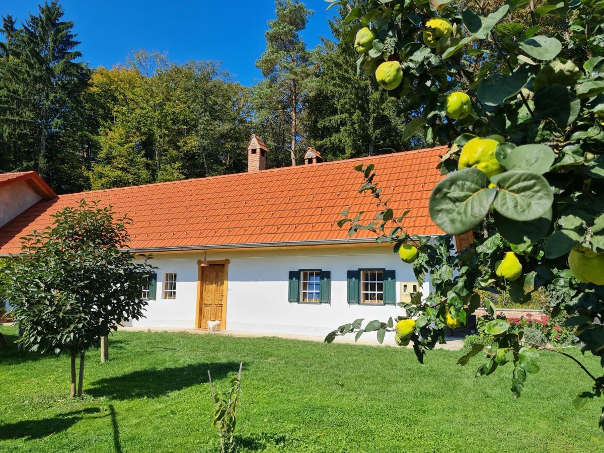 Turisticna Kmetija Hisa Ob Gozdu Pri Ptuju Villa Exterior foto