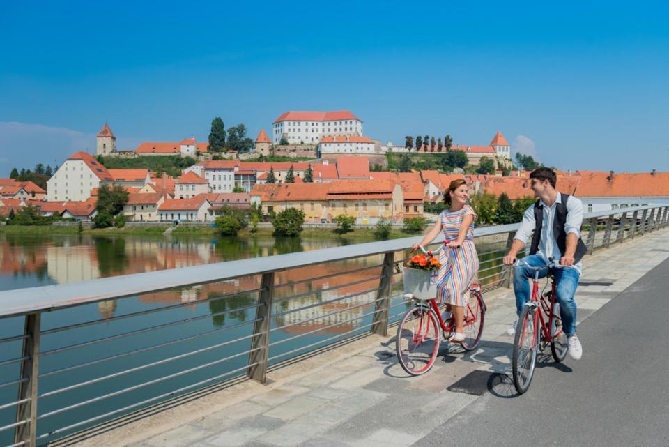 Turisticna Kmetija Hisa Ob Gozdu Pri Ptuju Villa Exterior foto