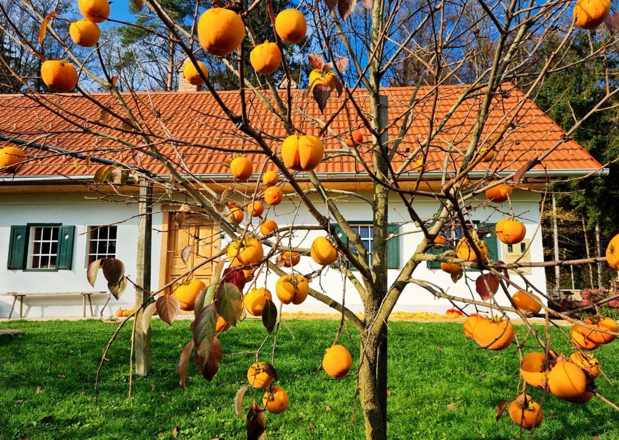 Turisticna Kmetija Hisa Ob Gozdu Pri Ptuju Villa Exterior foto