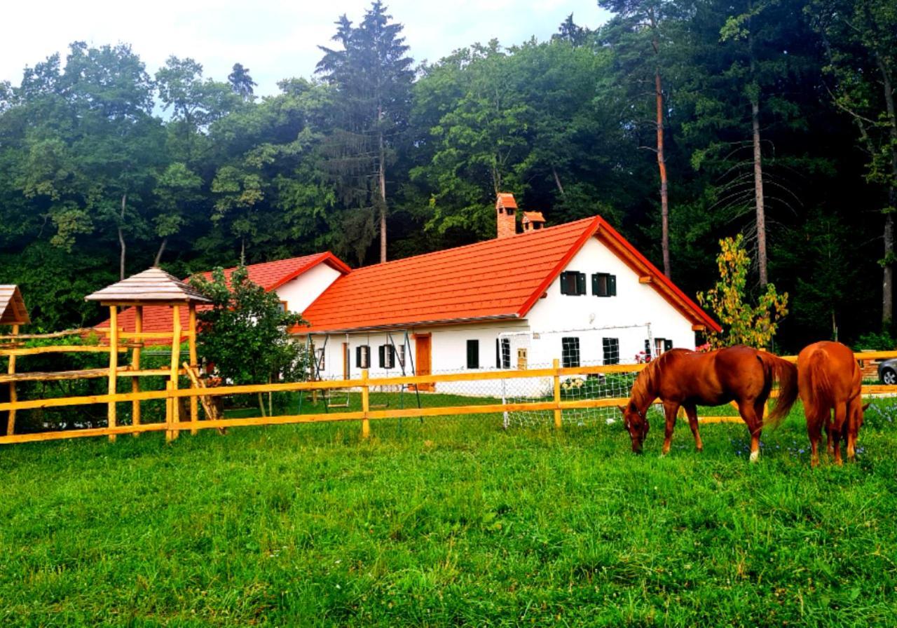 Turisticna Kmetija Hisa Ob Gozdu Pri Ptuju Villa Exterior foto