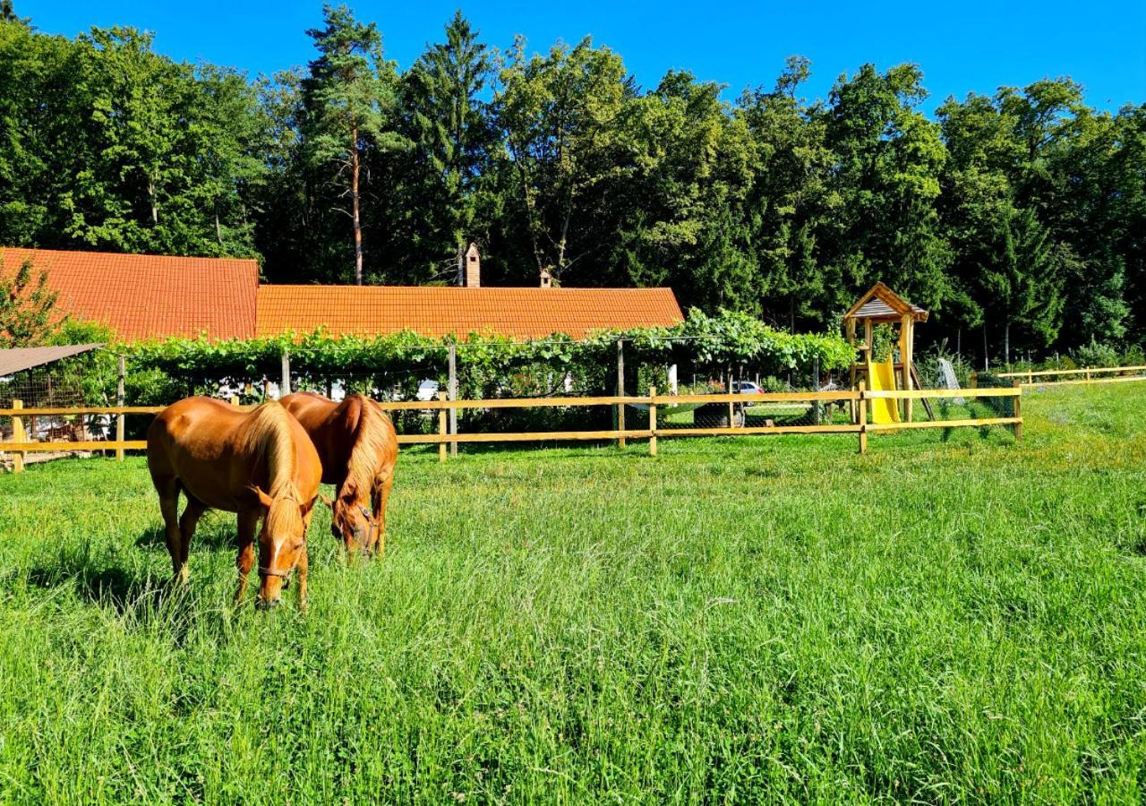 Turisticna Kmetija Hisa Ob Gozdu Pri Ptuju Villa Exterior foto